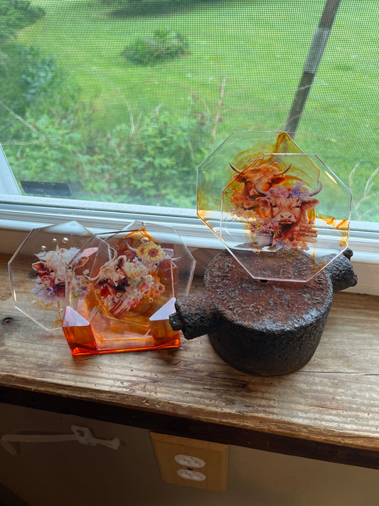 Coaster Set