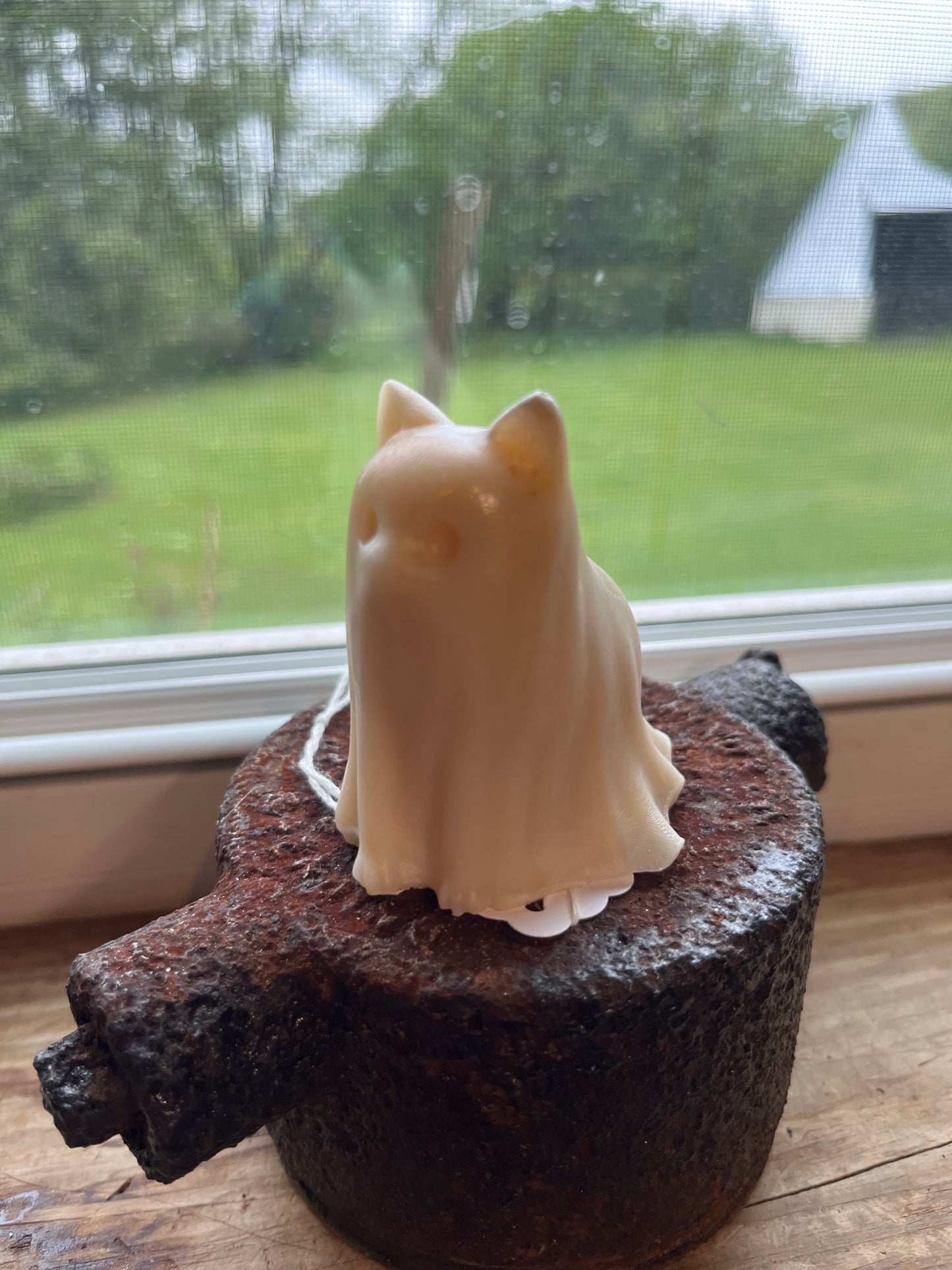 Ghost Cat